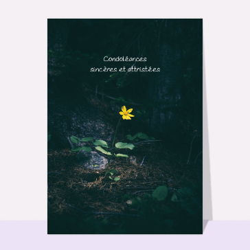 Carte condoléances fleurs : Condoléances sincères et attristées fleur jaune