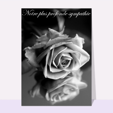 Carte condoléances fleurs : Notre plus profonde sympathie en noir et blanc