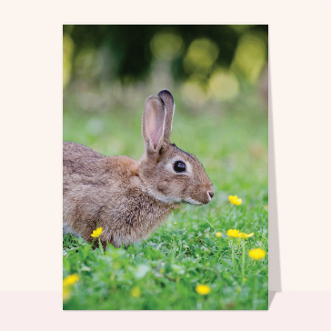 Carte de Pâques : Petit lapin de Pâques dans le prés