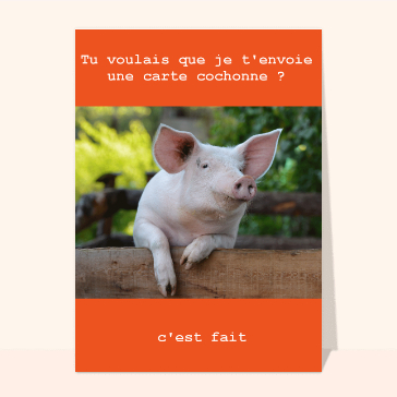 Humour : Envoyer une carte cochonne