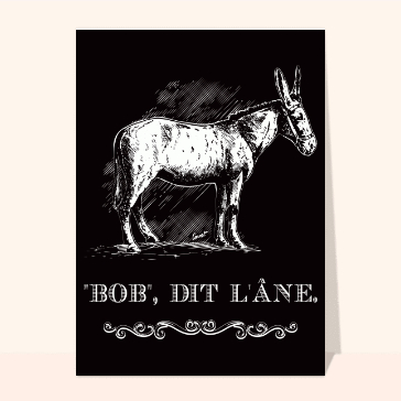 Humour : Bob dit l`âne