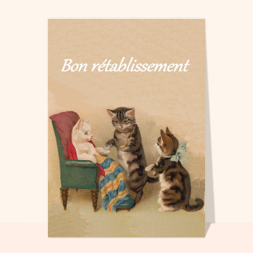 Central 23 Biglietto D'Auguri Guarigione Gatto | "Un Uccellino Mi Ha Detto Che Non Stai Bene" | Cartolina 12x17cm Con Adesivi | Incoraggiamento Amici