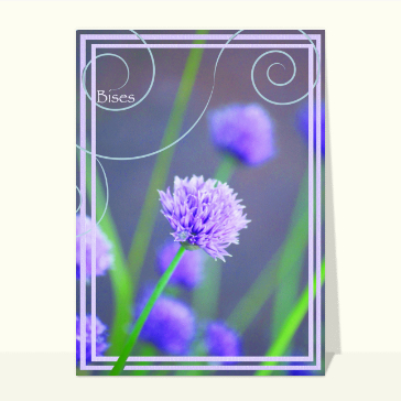 Carte Bises avec une fleur violette