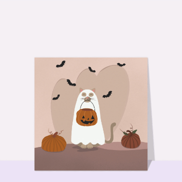 carte halloween : Chat d`halloween déguisé en fantôme