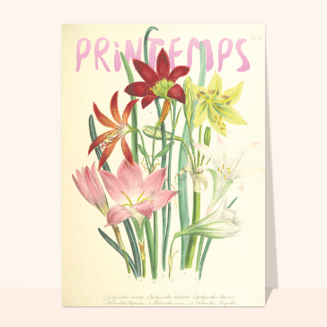 Carte de Juin : Jolies fleurs de printemps