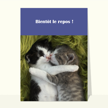 Carte postale de Juillet et d'été : Du repos pour les petits chats