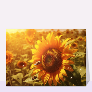 Carte postale de Juillet et d'été : Une abeille sur un tournesol