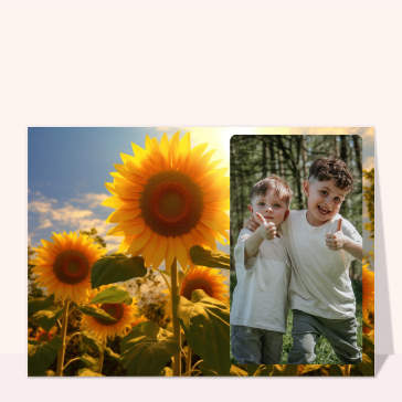 Carte postale de Juillet et d'été : Grand soleil sur champs de tournesol
