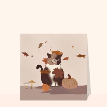 Carte Petit chat hello automne