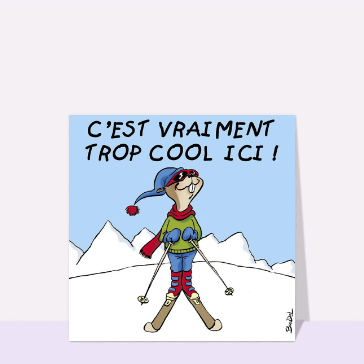 Carte Marmotte qui fait du ski