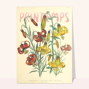Carte de mars : Fleurs jaunes et rouge