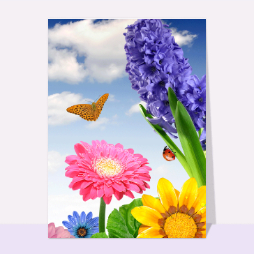Carte postale d'août et vacances : Fleurs d'été fleurs d'août