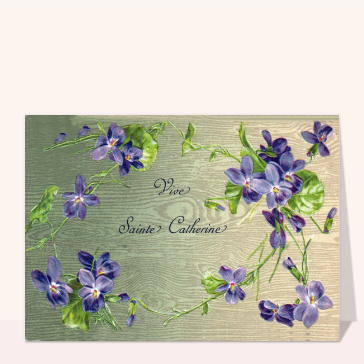 Sainte Catherine et violettes Cartes anciennes Sainte Catherine