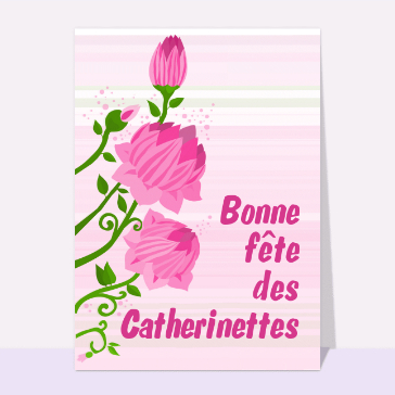 Carte sainte Catherine : Bonne fête des Catherinettes