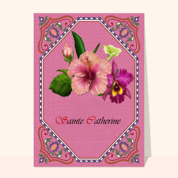 Carte sainte Catherine : Sainte Catherine sur un fond rose