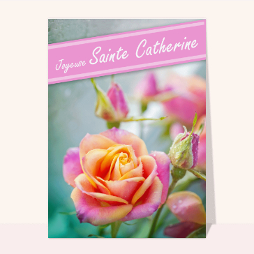 Carte sainte Catherine : Rose rose pour la Sainte Catherine