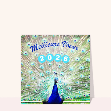 Fêtes de fin d'année : Oiseaux éclatants pour des voeux 2026 en couleur