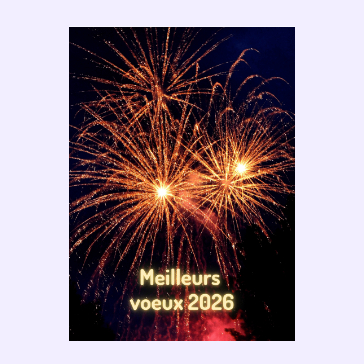 Fêtes de fin d'année : Feux d'artifice brillants pour 2026