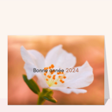 carte de voeux 2024 avec des fleurs : Bonne année 2024 sur fond jaune