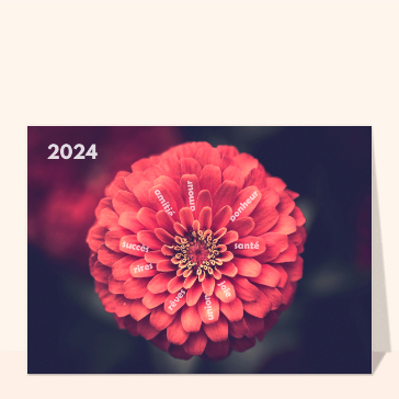 carte de voeux 2024 avec des fleurs : Meilleurs voeux 2024 et jolie fleur