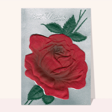 carte de voeux ancienne 2024 : Best Wishes avec une rose