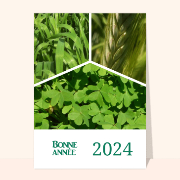 Cartes de voeux entreprise 2024 : Bonne année 2024 de verdure