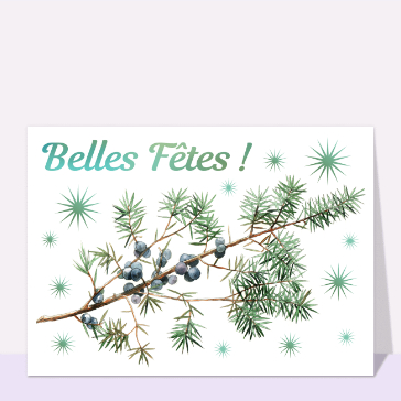 carte de noel : Belles fêtes avec une branche de genévrier