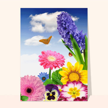Carte avec des fleurs : Papillon et coccinelle
