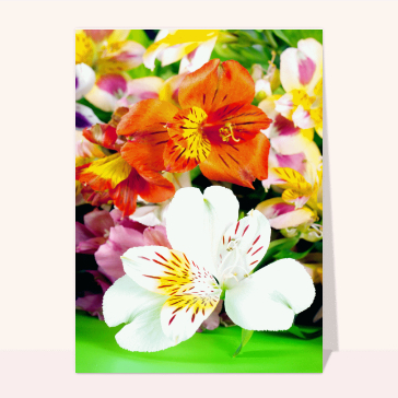 Carte avec des fleurs : Bouquet coloré