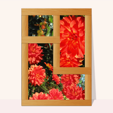 Carte avec des fleurs : Des fleurs par une fenêtre