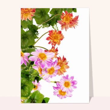 Carte avec des fleurs : Dahlia rouges et violets