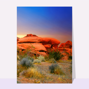 Carte postale états-unis USA : Desert de pierres