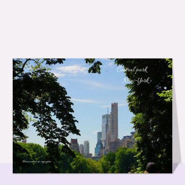 Carte postale états-unis USA : Forêt de Gratte-Ciels contre forêt d`arbres