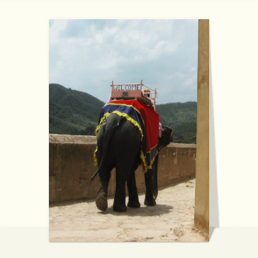 Carte postale Inde : Welcome un élephant en Inde