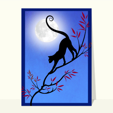 Carte chat et chaton : Chat devant une pleine lune