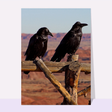 Carte avec un oiseau : Couple de corbeaux