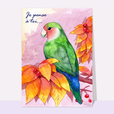 Carte avec un oiseau : Je pense à toi et perroquet vert bleu