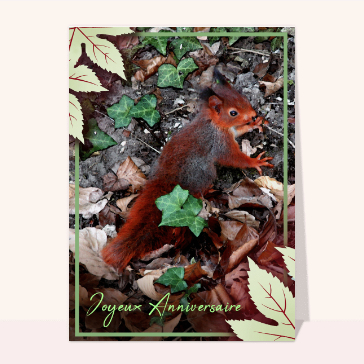 carte d'animaux : Joyeux anniversaire petit écureuil