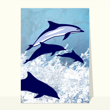 carte d'animaux : Dauphins