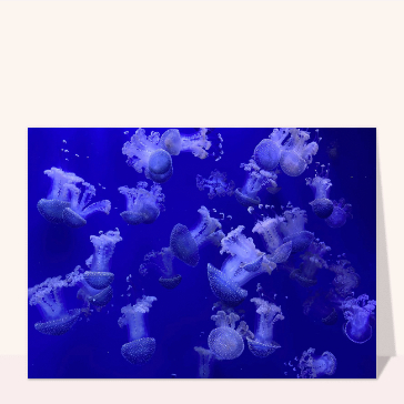 carte d'animaux : Méduse dans un bleu parfait