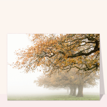 carte de paysages : Brouillard de fin d`automne