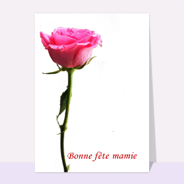 Fête des Mamies : Rose bonne fete mamie