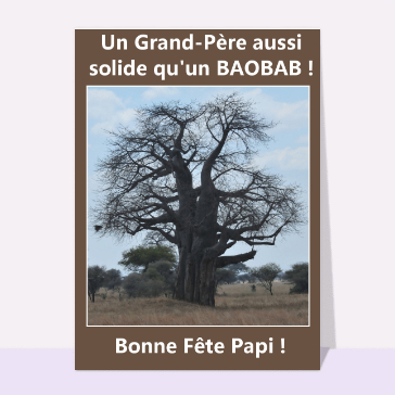 Fête de papy : Grand-père solide comme un baobab
