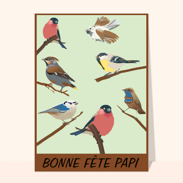 Fête de papy : Pour un papi qui aime les oiseaux