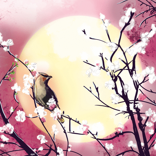 Carte Oiseau en fleur sous la lune rose Carte avec un oiseau