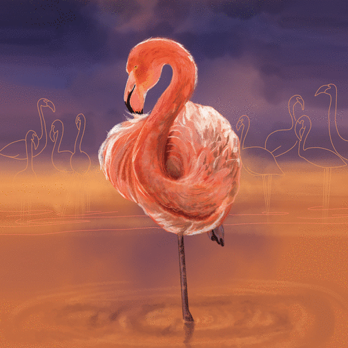 Carte Flamant rose dans un coucher de soleil Carte d'animaux