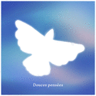 Papillon paisible pour des pens&eacute;es apais&eacute;es