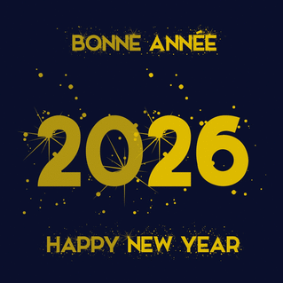 Carte Étoiles scintillantes pour un 2026 inspirant Carte de voeux professionnelle 2026