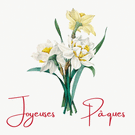 Fleurs d&eacute;licates pour une joyeuse P&acirc;ques