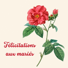 F&eacute;licitations aux mari&eacute;s avec des roses